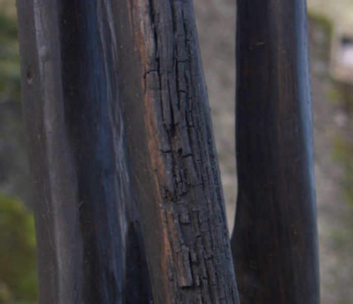 Bog Wood