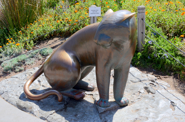 Gwynn Murrill at the San Francisco Zoo
