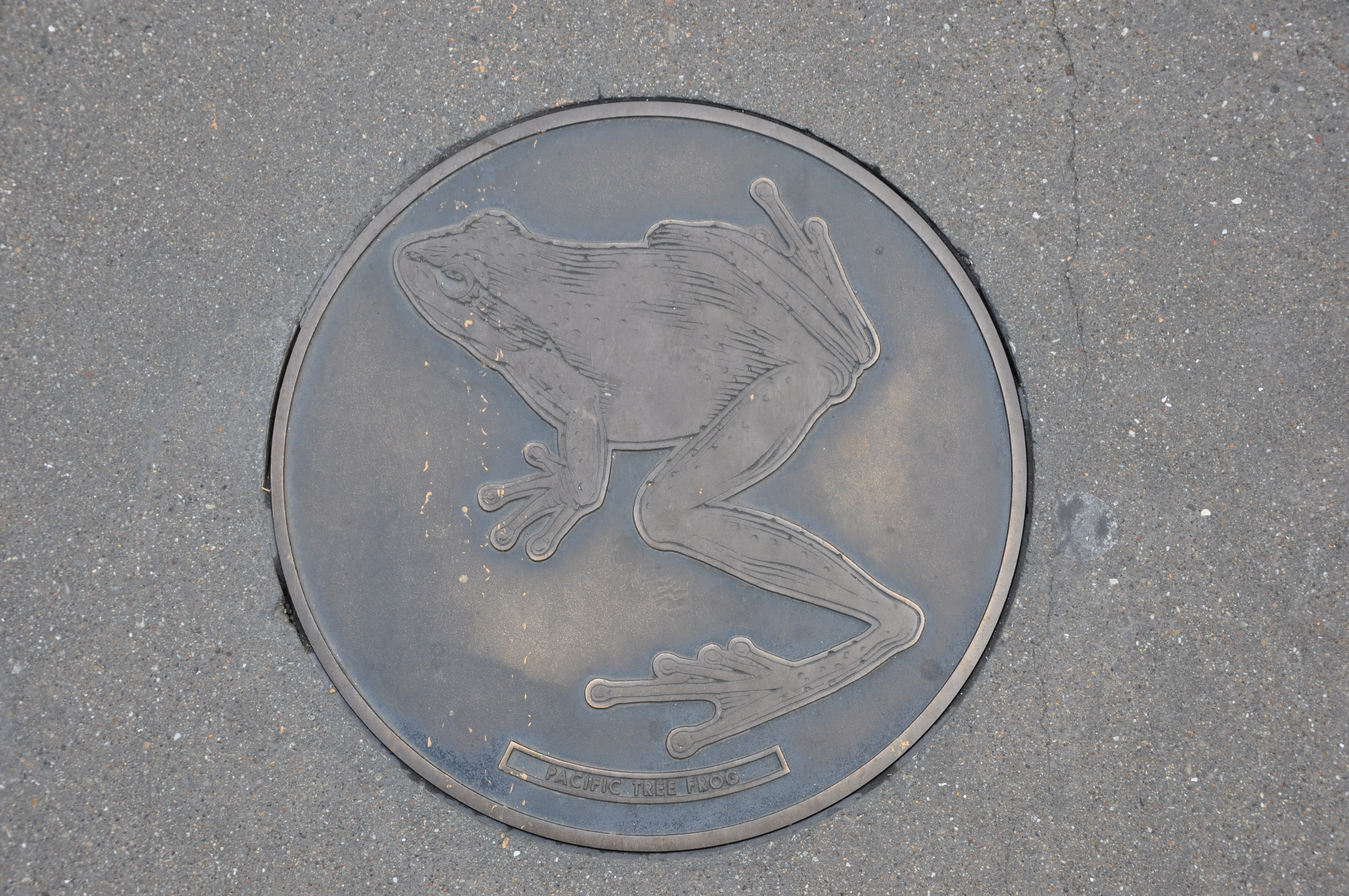The Embarcadero and The San Francisco Bay Trail