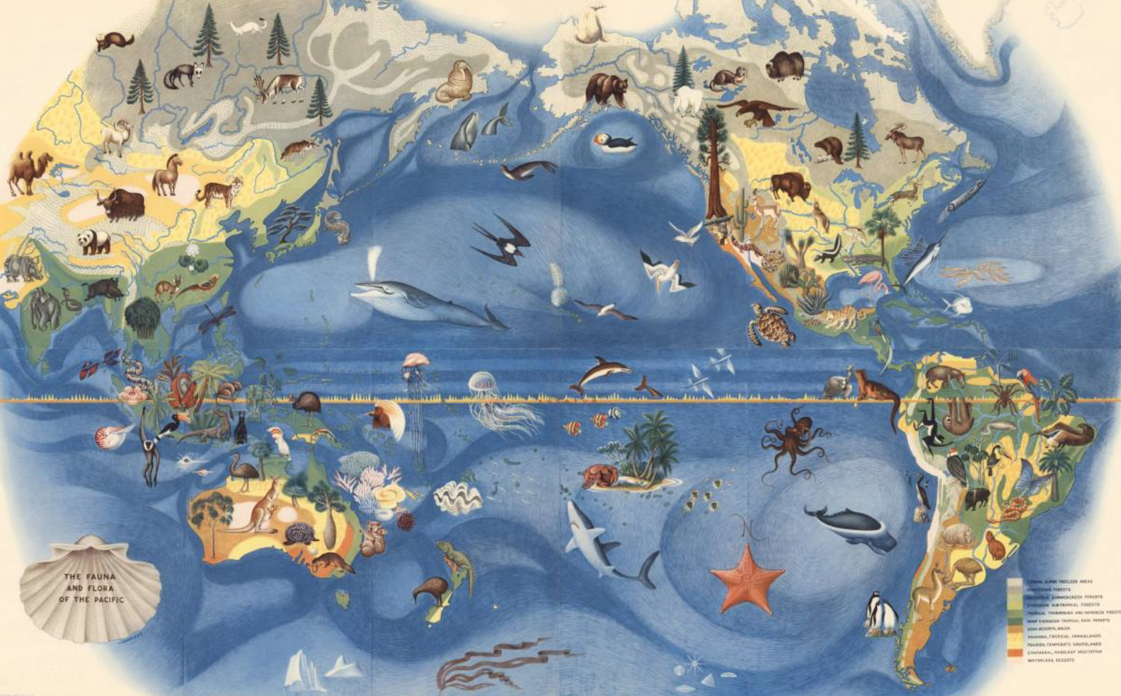 Карта рыбок. Животный мир мирового океана карта. Карта животного и растительного мира. Обитатели земли. Карта морских обитателей.