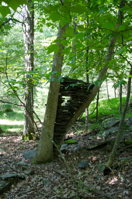 Sculpture Garden of the Woodstock School of Art