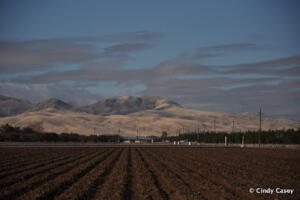 San Joaquin Valley