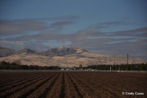 San Joaquin Valley