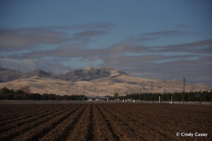 San Joaquin Valley
