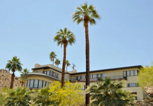 Palm Springs - Ship of The Desert 